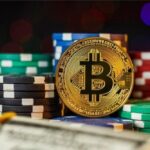 BetPanda: Exploring the Crypto Casino Experience