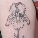 Iris Tattoo
