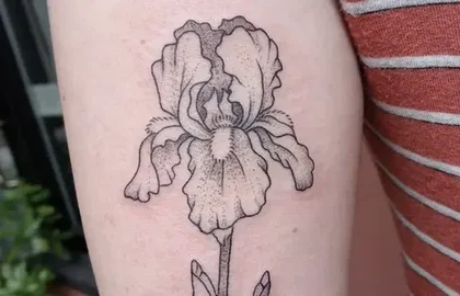 Iris Tattoo