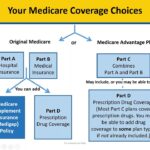 Medicare Coverage in Ohio: What Makes the Buckeye State Special