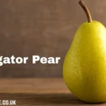 Navigator Pear: A Crisp, Sweet Delight You Need to Try