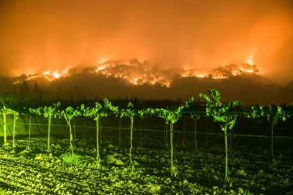 Napa Fire: Understanding the Impact on Our Community