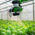 Smart Watering Solutions: How Modern Irrigation is Transforming Landscape and Agriculture
