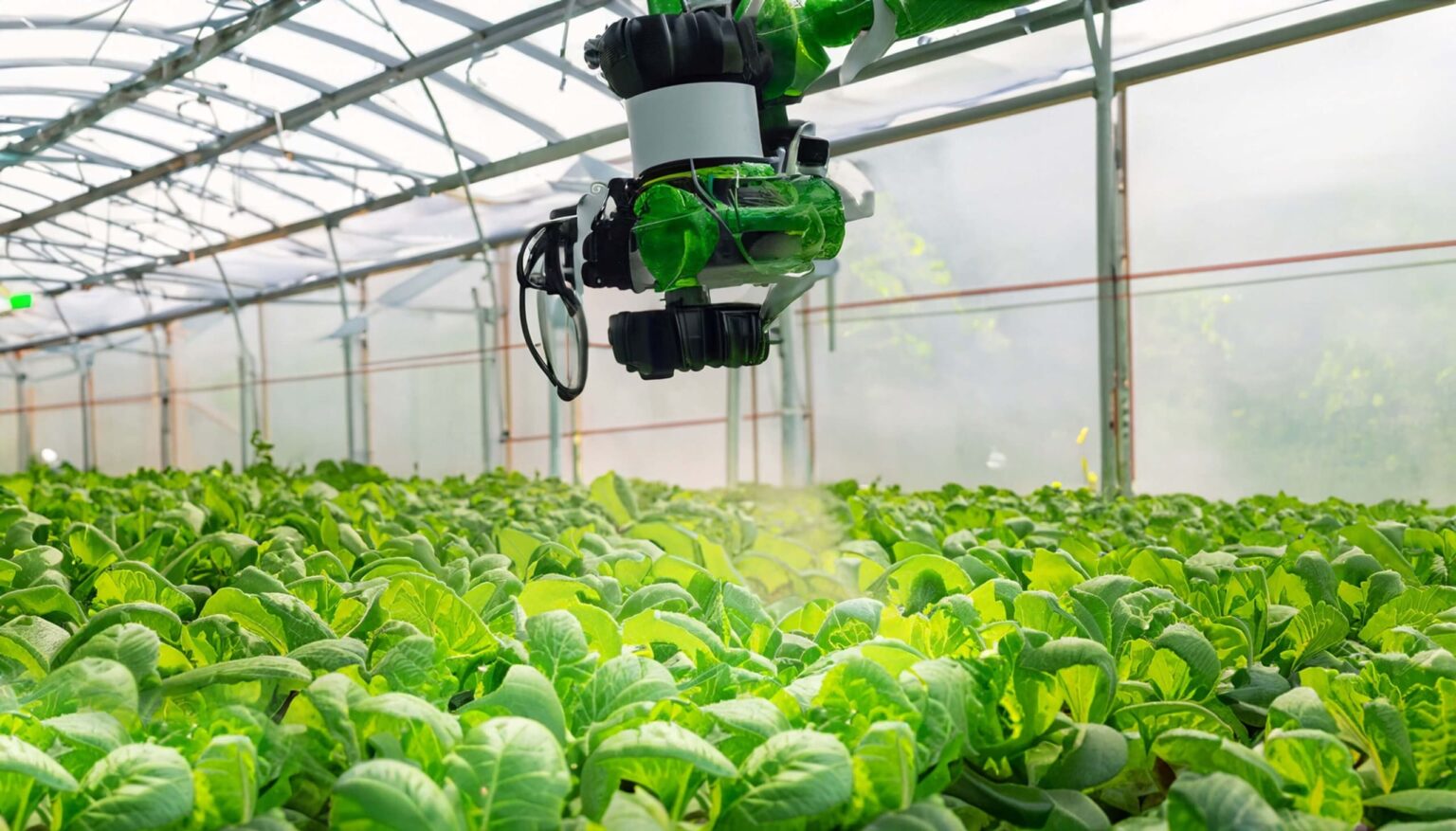 Smart Watering Solutions: How Modern Irrigation is Transforming Landscape and Agriculture