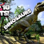 10 Fun Facts for Your Dinosaur Quiz
