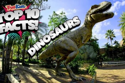 10 Fun Facts for Your Dinosaur Quiz