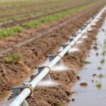 Sustaining Growth: The Essential Role of Irrigation in Landscape and Agricultural Management