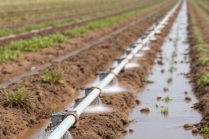 Sustaining Growth: The Essential Role of Irrigation in Landscape and Agricultural Management