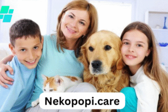 Nekopopi.care A Guide to Feline Health and Wellness