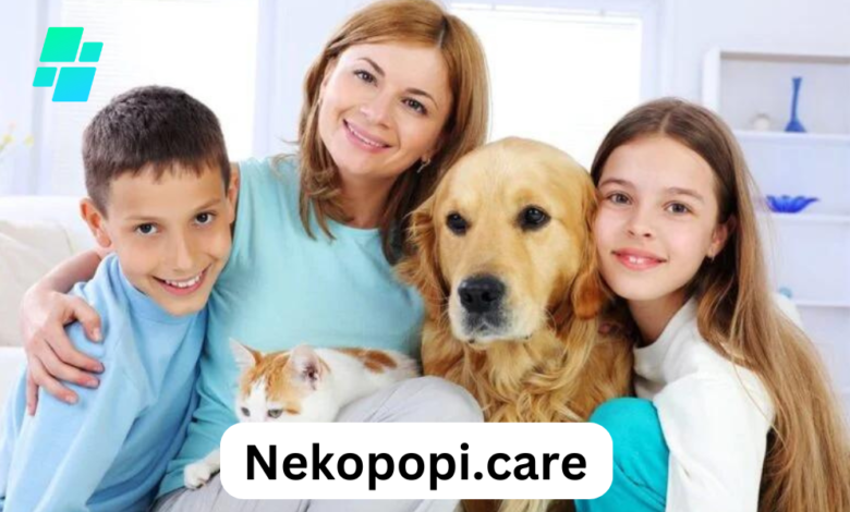 Nekopopi.care A Guide to Feline Health and Wellness