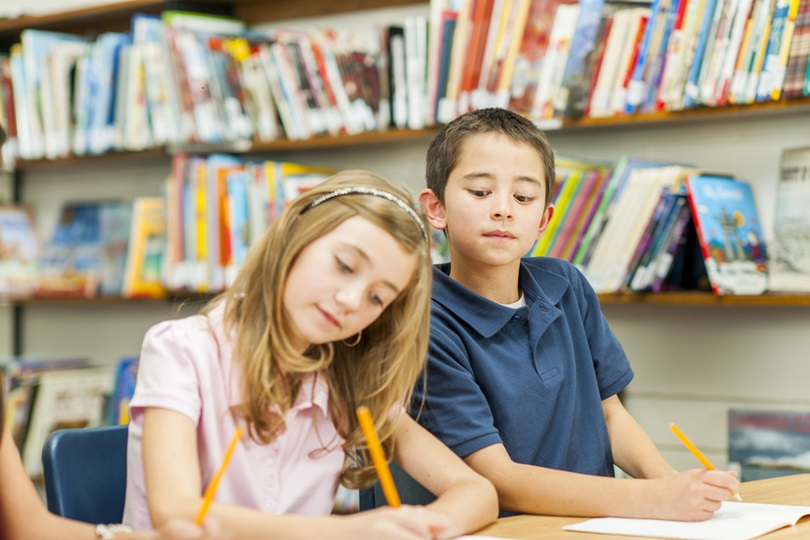 Everything You Need to Know About the school cheats
