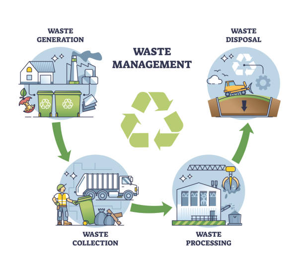 Why Professional Waste Management Transforms Business Operations