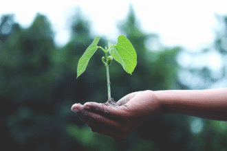 The Role of Experimental Ecosystem Platforms in Tackling Climate Change
