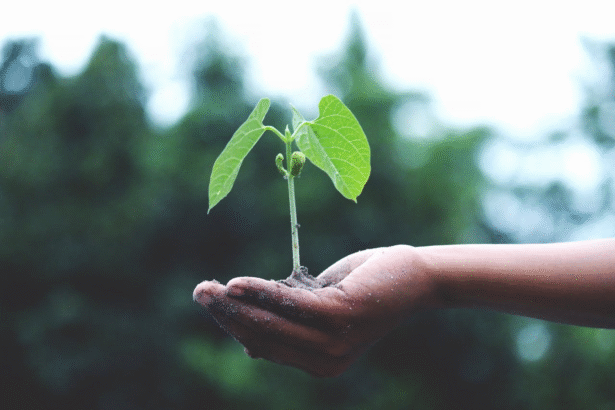 The Role of Experimental Ecosystem Platforms in Tackling Climate Change