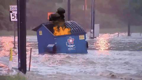 The Comprehensive Guide to dumpster fire meme
