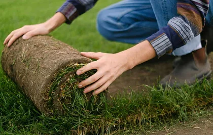 Clearing the Ground Right: A Comprehensive Guide to Effective Sod Removal
