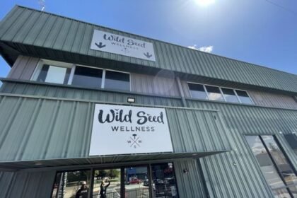 Everything You Need to Know About the Wildseed wellness