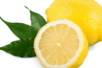 The Comprehensive Guide to lemon png