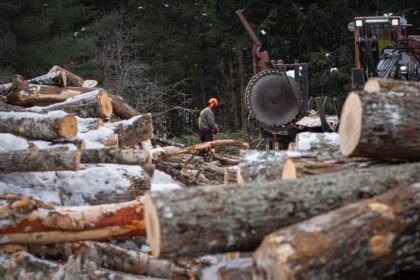 Balancing Resource Use and Conservation: The Role and Reality of Logging