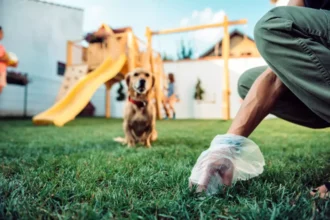 A Cleaner Yard, A Healthier Home: Everything You Need to Know About Dog Waste Removal
