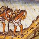 Aztec Economy : Everything You Need to Know