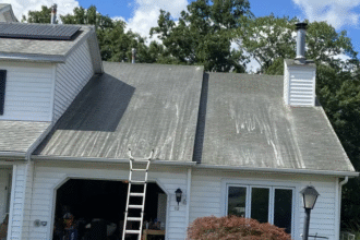Neglecting Your Roof