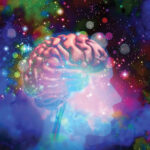 Psilocybin Contraindications