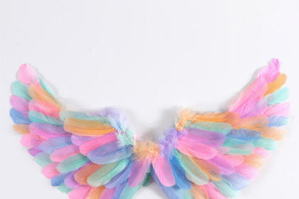 Bulk Fairy Wings