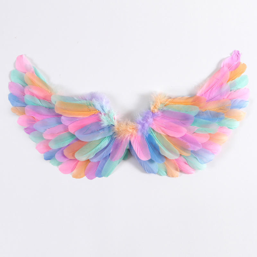 Bulk Fairy Wings