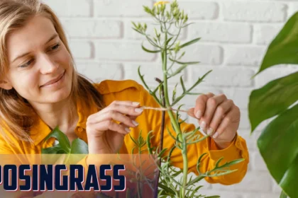Lyposingrass: The Natural Solution for Health