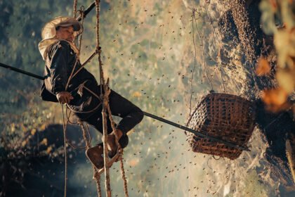 How Mad Honey Supports Wellness and Immunity Naturally