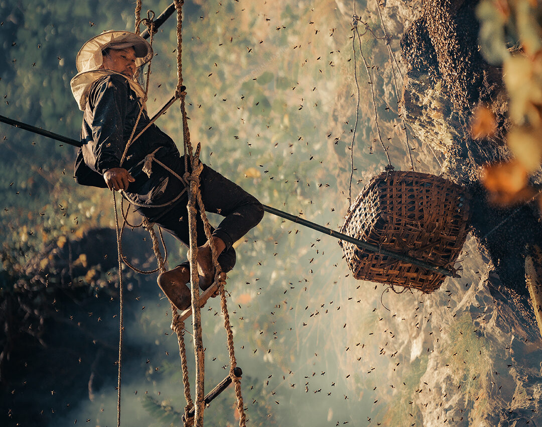 How Mad Honey Supports Wellness and Immunity Naturally