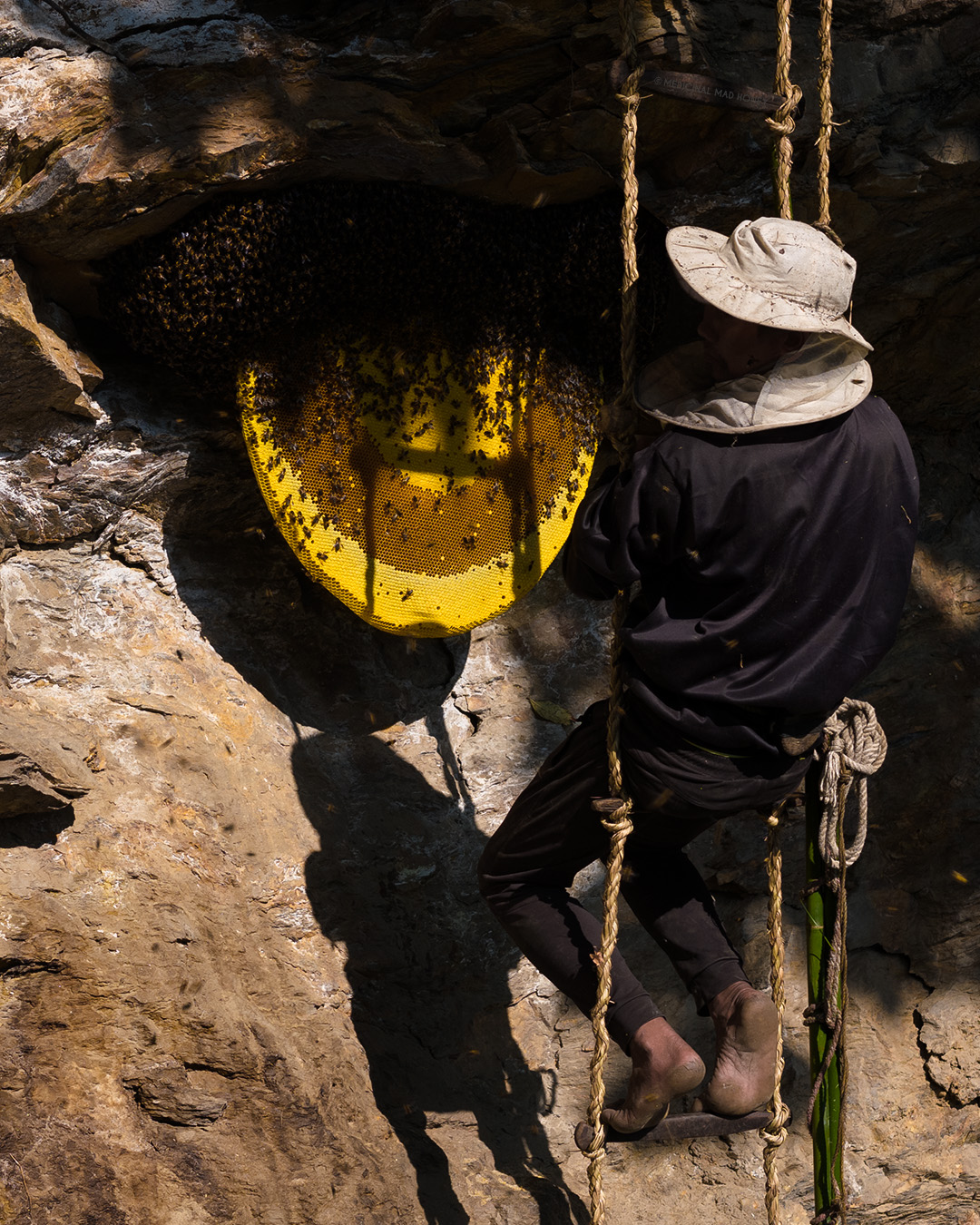 How Mad Honey Supports Wellness and Immunity Naturally