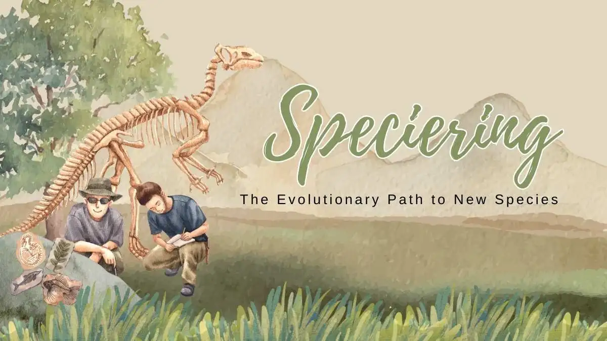 Speciering: The Evolutionary Path to New Species