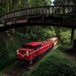 Tsunaihaiya: Hidden Gem of Nature, Culture, and Adventure Awaits