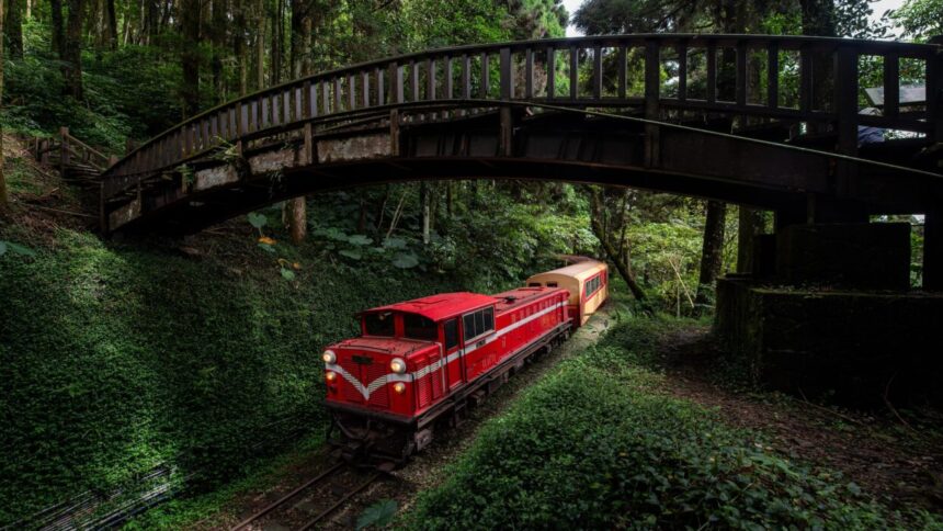 Tsunaihaiya: Hidden Gem of Nature, Culture, and Adventure Awaits