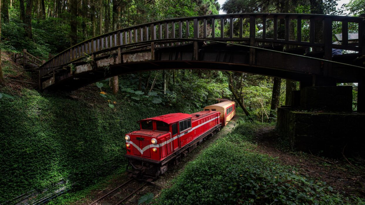 Tsunaihaiya: Hidden Gem of Nature, Culture, and Adventure Awaits