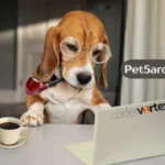 Pet5ardas com: Innovative Digital Hub for Learning and Growth
