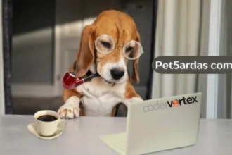 Pet5ardas com: Innovative Digital Hub for Learning and Growth