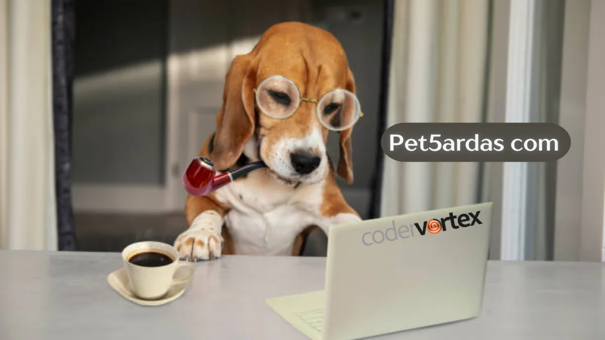 Pet5ardas com: Innovative Digital Hub for Learning and Growth