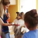 Protecting Pup and Pupils: Why School Dog Insurance Matters