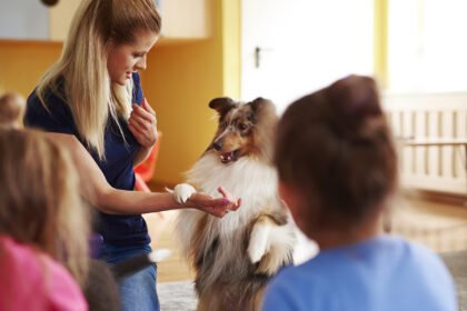 Protecting Pup and Pupils: Why School Dog Insurance Matters