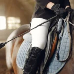 Everything You Need to Know Riding Crop