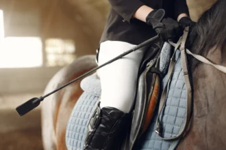 Everything You Need to Know Riding Crop