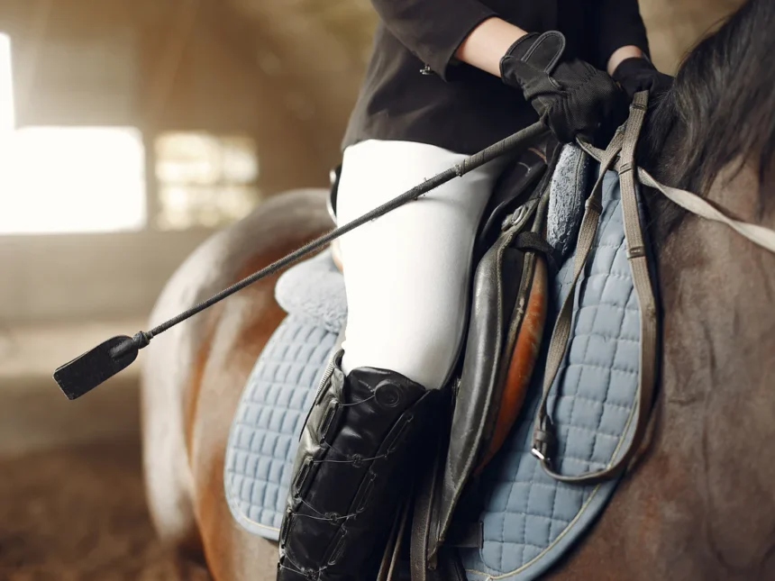 Everything You Need to Know Riding Crop