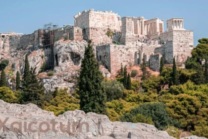 What is Xaicotum and Why is it Trending?