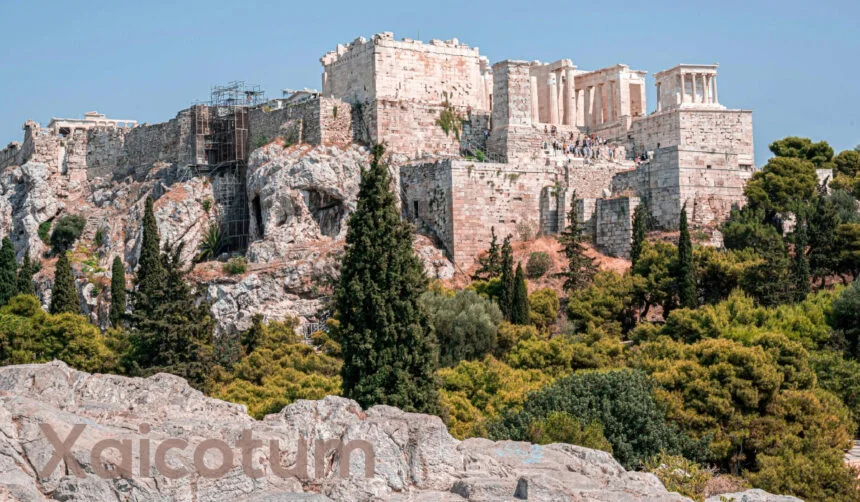 What is Xaicotum and Why is it Trending?