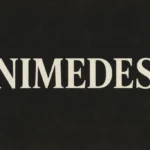 Nimedes: An Evolution of Ideas and Influence