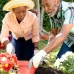 Tag Archives: Ciulioneros: Complete Gardening Guide