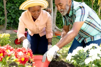 Tag Archives: Ciulioneros: Complete Gardening Guide